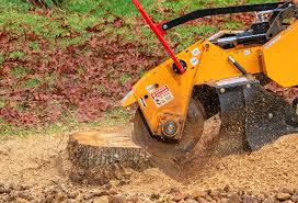 Tree and Shrub Care in Washington, GA