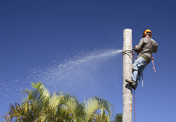 Best Soil Testing and Treatment  in Washington, GA