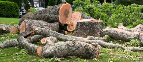 Landscape Design and Installation in Washington, GA